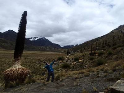 Huaraz - glacier Pastoruri
