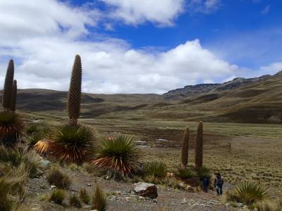 Huaraz - glacier Pastoruri