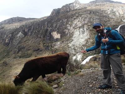 Treck Laguna 69
