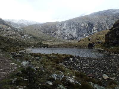 Treck Laguna 69