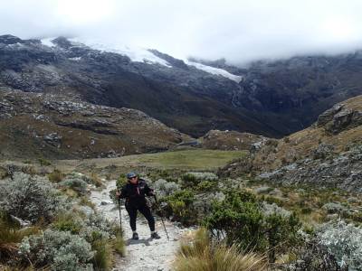 Treck Laguna 69