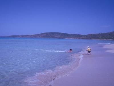 Elafonasos