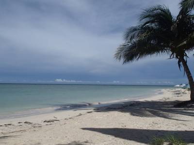 Cayo Jutias