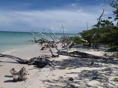 Cayo Jutias