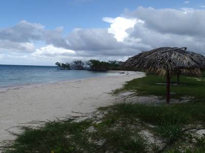 Cayo Jutias