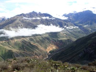 Cañon del Colca