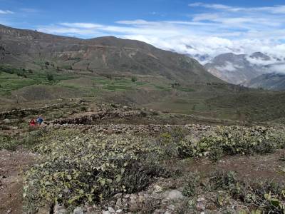 Cañon del Colca