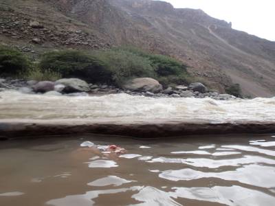 Cañon del Colca