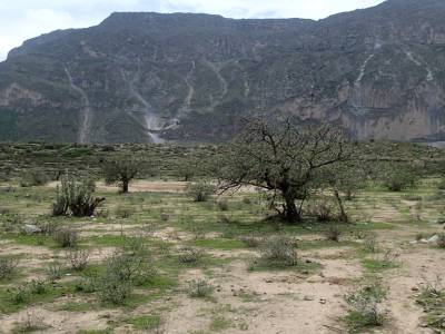 Cañon del Colca