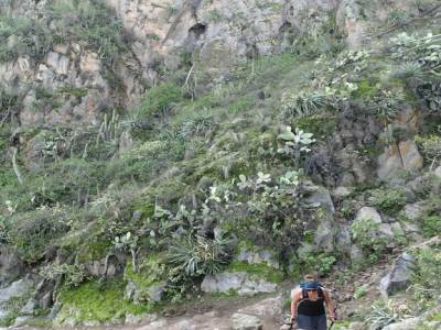 Cañon del Colca