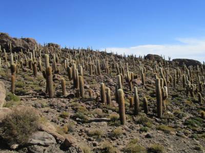 Salar d'Uyuni et sud lipez