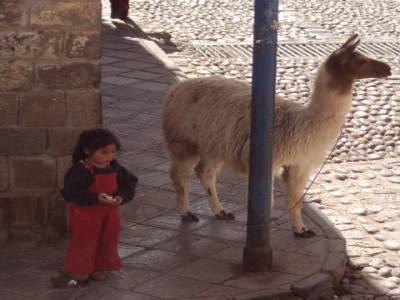 Cusco - vie quotidienne
