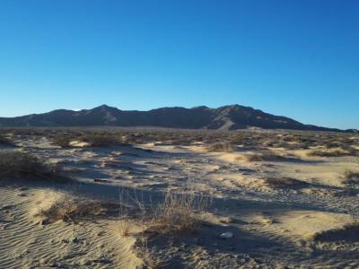 petit tour dans le dessert sans cactus