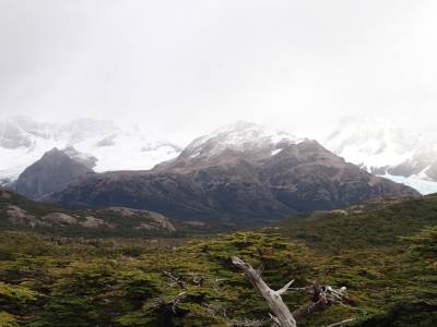 Jour 1 - treck de la laguna de los tres lagos (Fitz Roy)