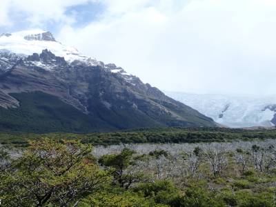 Jour 2 - treck de la laguna torre