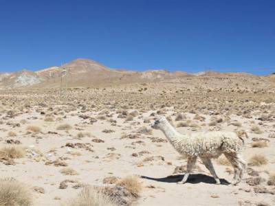 Salar de Uyuni