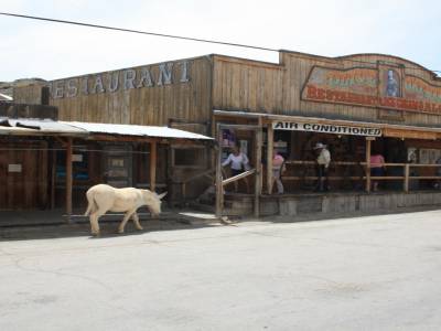 Oatman restaurant