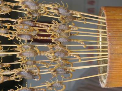 Brochettes scorpions