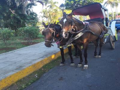 une 2 chevaux local