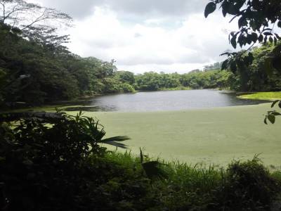 le petit lac du volcan Arenal
