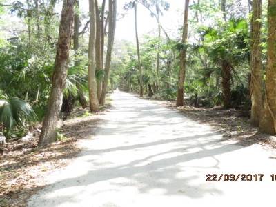 bulow plantation,floride mars 2017