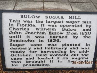 bulow plantation,floride mars 2017