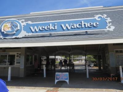 weekje wachee,floride 30 mars 2017