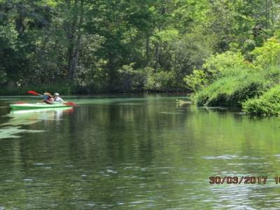 weekje wachee,floride 30 mars 2017
