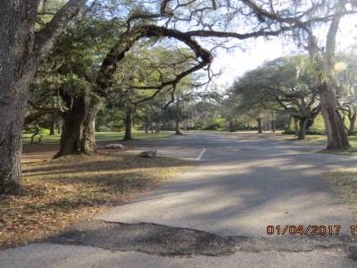 bushnelle, Florida , 01 avril 2017