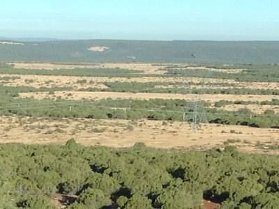 route 40 ,texas,nouveau mexique, et californie,usa