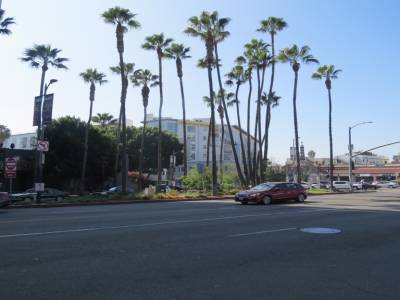 hollywood, 