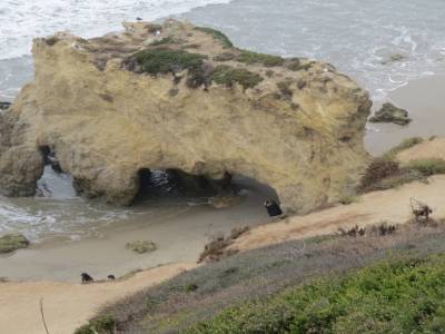 route 1, cote du pacifique, californie