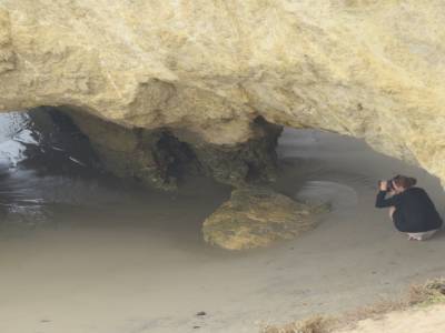route 1, cote du pacifique, californie