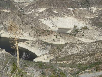 foret angeles,national, pres de acton, californie