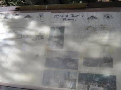 foret angeles,national, pres de acton, californie