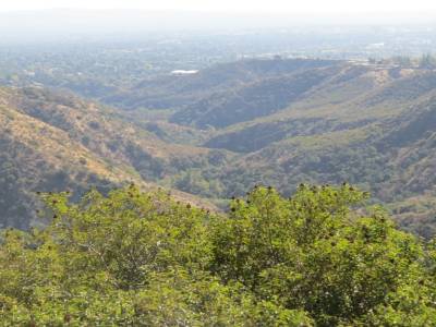 foret angeles,national, pres de acton, californie