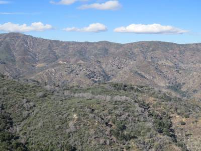 foret angeles,national, pres de acton, californie