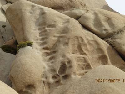 parc national joshua tree, californie