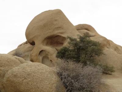 parc national joshua tree, californie