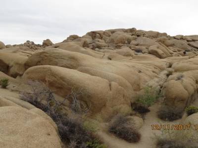 parc national joshua tree, californie