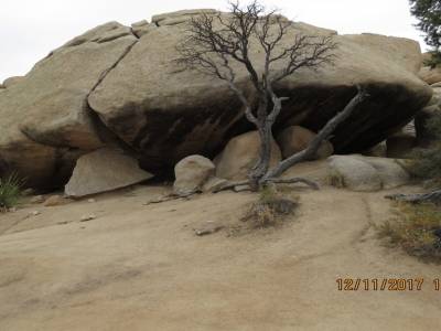 parc national joshua tree, californie