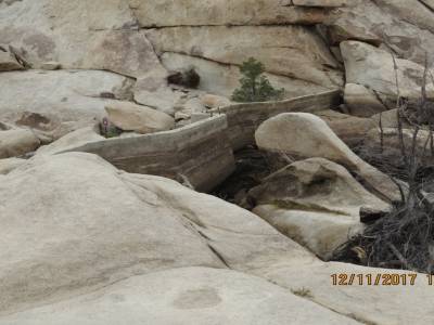 parc national joshua tree, californie