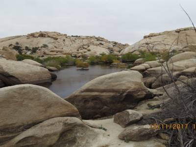 parc national joshua tree, californie