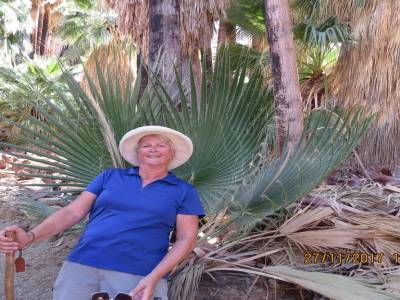indian canyons, palms springs,californie,usa