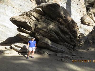 indian canyons, palms springs,californie,usa