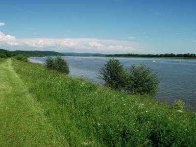 LE DANUBE BLEU