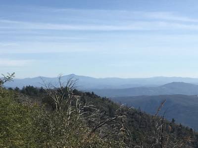 observatoir du mont palomar, pres de oceanside ,californie,janvier 2018
