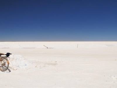 Sur le Salar