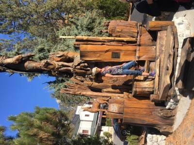 Idyllwild, californie,usa novembre 2017