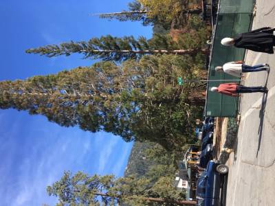 Idyllwild, californie,usa novembre 2017